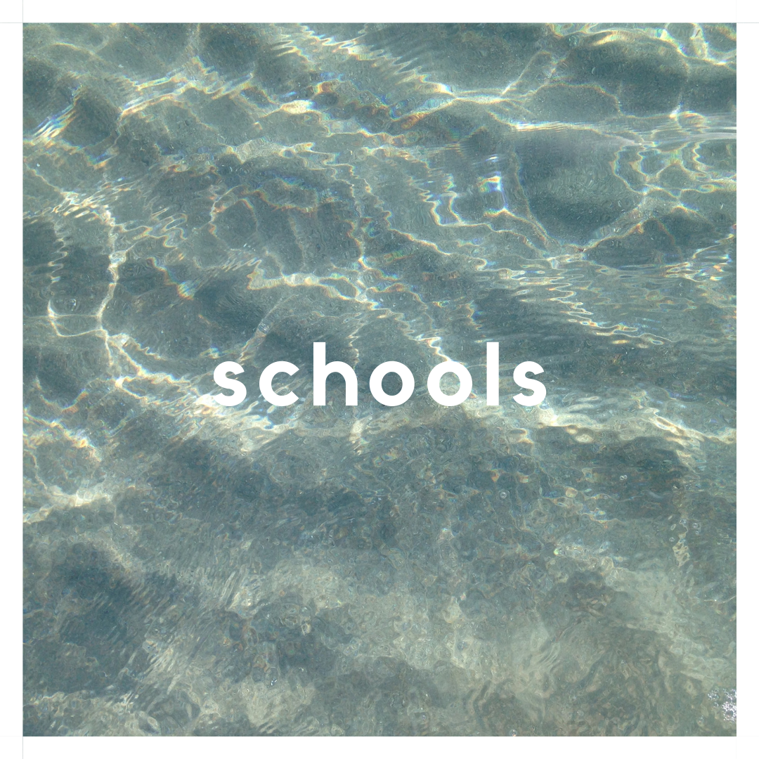 schools-3
