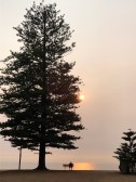 Smoke haze sunrise